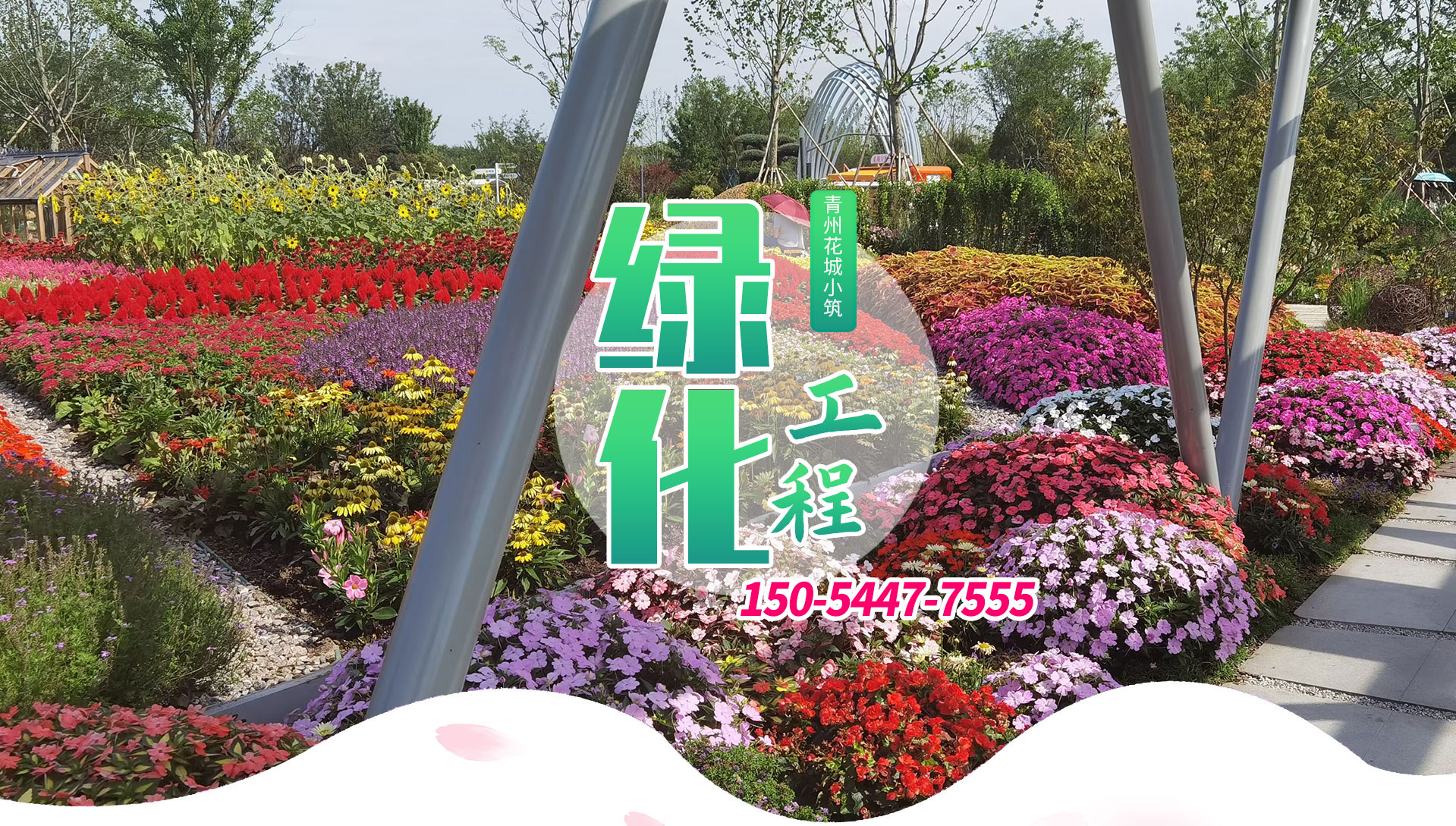 綠化苗木